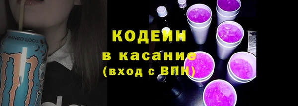 прущие грибы Арсеньев