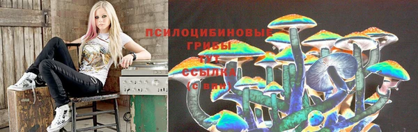 прущие грибы Арсеньев