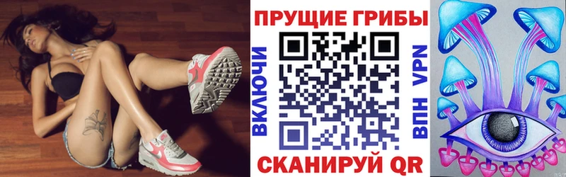 сколько стоит  Старица  Галлюциногенные грибы Psilocybe 
